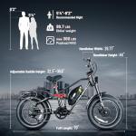 eAhora Terra II 3000W Dual Motor Electric Bike