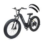 Terra 1000W Electric Mountain Bike with Fat Tires