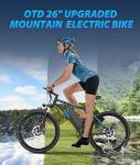 1200W Lightweight Mountain Electric Bike for Adults