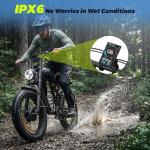 Nexaglide 1000W Fat Tire Electric Bike