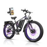 Powerful Dual Motor Fat Tire Electric Bike