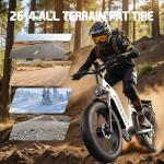 HiKNiGHT 3000W Dual Motor Fat Tire Ebike