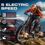 Seemoon 3000W Electric Fat Tire Mountain Bike
