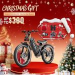 eAhora Romeo Pro 2 Electric Bike - Long Range & Power