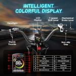 eAhora Luna II Electric Bike - 3000W Dual Motor