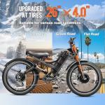 eAhora Romeo Pro 2 Electric Bike - Long Range & Power