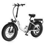 NARRAK Fat Tire Folding Electric Bike with Battery