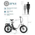 NARRAK Fat Tire Folding Electric Bike with Battery