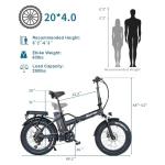 NARRAK Fat Tire Folding Electric Bike 1100W