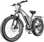 LELUOYUN F01 Electric Bike with 1500W Motor