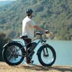 LELUOYUN F01 Electric Bike with 1500W Motor