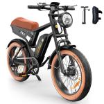 Isinwheel R6 1500W Electric Bike with Fat Tires