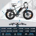 OUXI 1000W Adult Electric Mountain Bike with Fat Tires