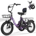 T300 Adult Electric Trike with High-Power Motor