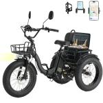 Skeri 750W Folding Electric Tricycle for Adults