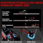 3000W Dual Motor Electric Bike for Adults