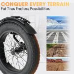 Skeri 750W Folding Electric Tricycle for Adults