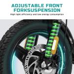 Folding Electric Bike for Adults and Teens