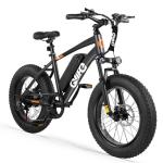Qlife Racer Fat Tire Electric Bike for Adults