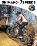 Qlife Racer Fat Tire Electric Bike for Adults