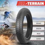 FOMAS 20 x 4.0 Inch Fat Bike Tires - 2 Pack