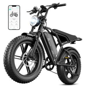 TST 1500W Fat Tire Electric Bike for Adults