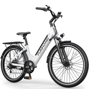 Funhang 1000W Electric Bike for Adults
