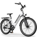 Funhang 1000W Electric Bike for Adults