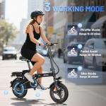 RPINT Electric Bike for Adults and Teens, 740W Peak Motor E-Bike with 30-60 Miles PAS Range, 48V 10AH Removable Battery, 14" Folding Mini Ebike with 20MPH, Electric Bicycle for Commute
