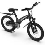 SKIRAI Electric Bike for Kids, 250W Brushless Motor, 25.2V 7Ah Battery, 3 Speeds up to 15.5 mph, Magnesium Alloy Frame Ebike for Kids 8 to 12