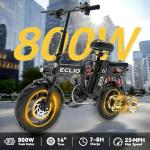 Folding Electric Bike, Peak 800W Motor 25MPH,48V 14Ah Removable Battery 55Miles Ebike,14'' Lightweight Adults Electric Bicycles for Men/Women/Teens,Mini E-Bike,Full Suspension (M1-Black-800W-14Ah)