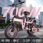 DDC TECH Folding Electric Bike for Adults, 800W Peak Motor 25MPH, Ebike with 48V 14Ah Removable Battery, 35-55 Miles Range, 14'' Adults Electric Bicycles for Men Women Commuter