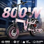 DDC SPORT Folding Electric Bike for Adults, Peak 800W Motor 25MPH, 48V 14Ah Removable Battery 35-55Miles Ebike,14'' Lightweight & Portable Adults Electric Bicycles for Men/Women/Teens