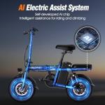 INSDRGN Electric Bike for Adults and Teens, 14" Mini Folding E Bike, 650W Peak Motor, 48V 499Wh Removable Battery, 28Miles, 20MPH Commuting Electric Mountain Bike, 9 Shock Absorbers, UL2849