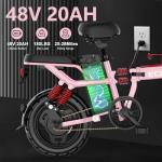DDC TECH Folding Electric Bike for Adults, 800W Peak Motor 25MPH, Ebike with 48V 14Ah Removable Battery, 35-55 Miles Range, 14'' Adults Electric Bicycles for Men Women Commuter
