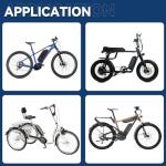 36V 10Ah Lithium E-Bike Battery Pack