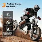 EUYBIKE Foldable Electric Bike for Adults, 3000W Peak Dual Motor Ebike with Removable 52V 30AH Battery, 20"x4.0" Fat Tires 30+MPH Dirt Bike, 120Miles Long Range Electric Bicycle Grey for All-Terrain