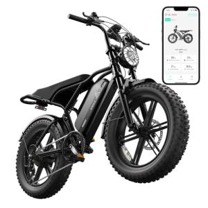 TST 1500W All-Terrain Electric Bike for Adults