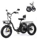 ANCHEER Electric Tricycle for Adults, 48V/864WH E Trike, 750W(Peak 1000W) Motor, 20"x4.0" Fat Tire 3 Wheel Electric Bike, 3A Fast Charger, 15.5MPH, 65 Miles, Parking, Differential, UL2849 Compliant
