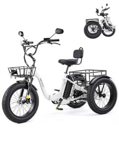 ANCHEER Electric Tricycle for Adults, 48V/864WH E Trike, 750W(Peak 1000W) Motor, 20"x4.0" Fat Tire 3 Wheel Electric Bike, 3A Fast Charger, 15.5MPH, 65 Miles, Parking, Differential, UL2849 Compliant