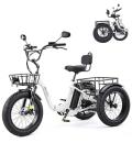 ANCHEER Electric Tricycle for Adults, 48V/864WH E Trike, 750W(Peak 1000W) Motor, 20"x4.0" Fat Tire 3 Wheel Electric Bike, 3A Fast Charger, 15.5MPH, 65 Miles, Parking, Differential, UL2849 Compliant