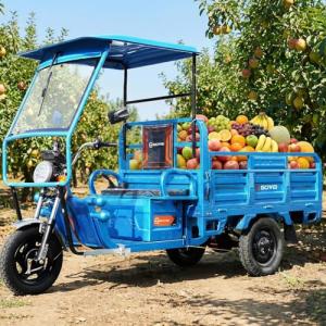 1200W Electric Cargo Tricycle Truck Simple Tricycle,60-70Km 60V 45Ah Large Capacity Battery,Load Capacity 1100Lbs