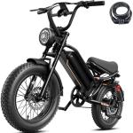 Jasion 2000W Electric Bike for Adults