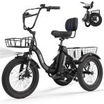 T300 Adult Electric Trike with 1200W Motor