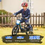 Kids Electric Dirt Bike - 340W Racing Motorcycle