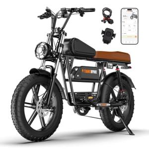 T73 Retro Electric Bike for Adults - 1000W