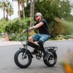 20" Heavy Duty Fat E-Bike Tires and Tubes