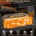 T73 Retro Electric Bike for Adults - 1000W