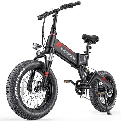 Folding Electric Bikes