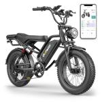 Qlaway 20" Fat Tire Electric Bike with Suspension